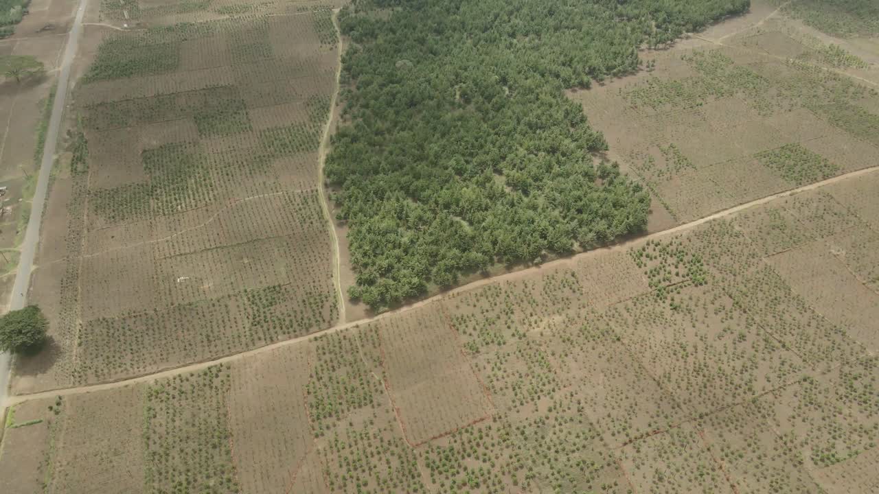 vista aérea de drones volando sobre pradera africana verde inculta campo rural desierto kenia