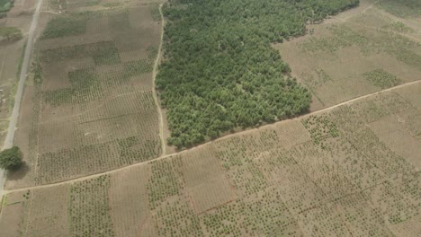 aerial drone view flying above uncultivated green african meadow rural countryside wilderness kenya