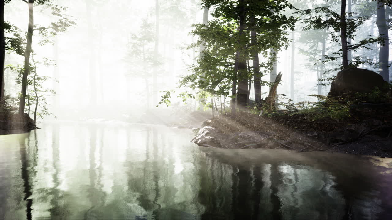 신비로운 숲의 어두운 연못