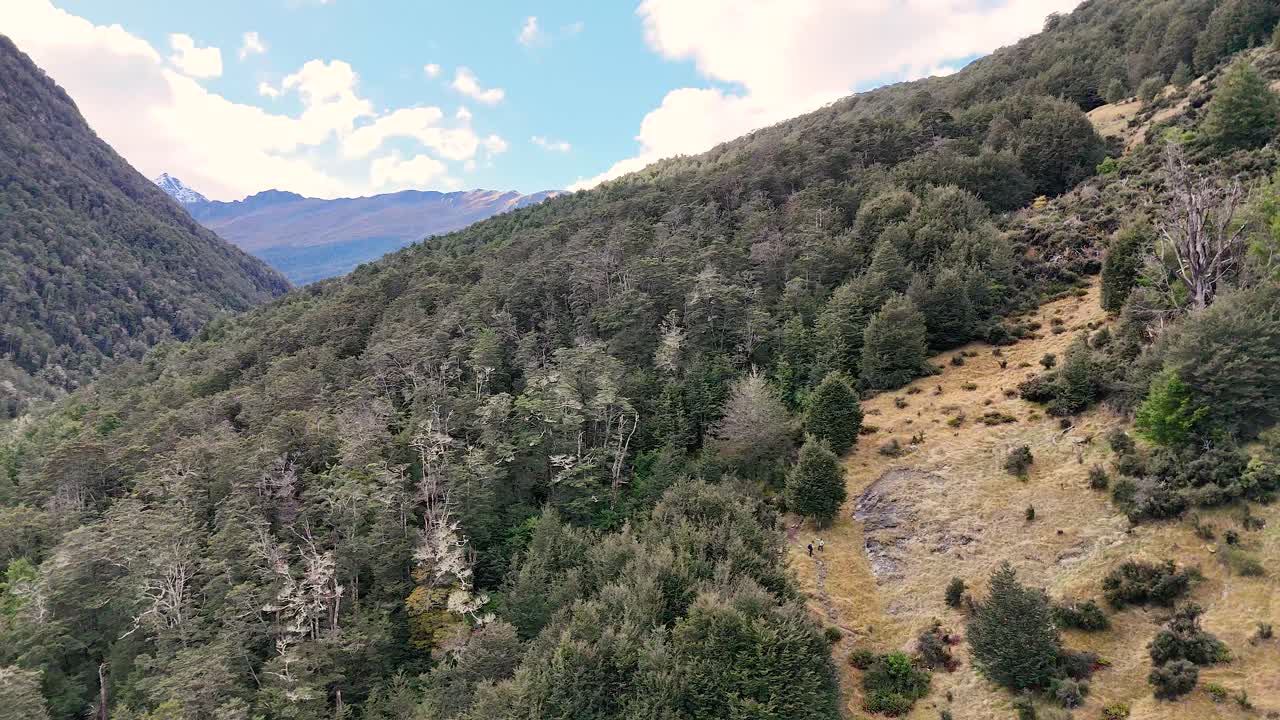 Drone glides above lush forested hillside, revealing rugged terrain, natural light, and expansive landscape