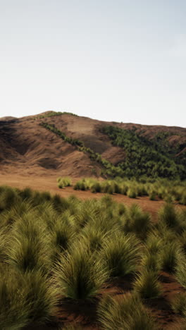 beautiful landscape with grass field and hills