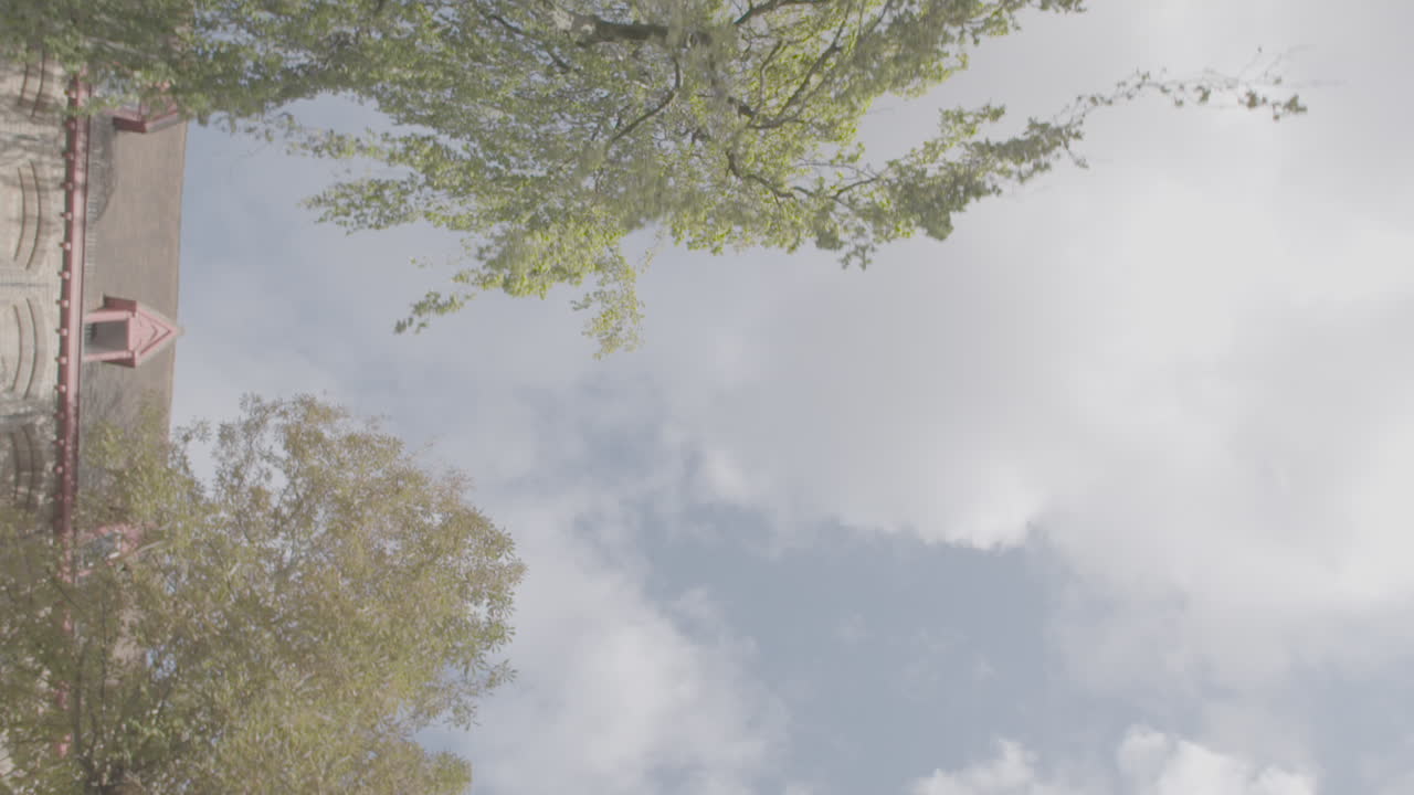 Boat in Brugge sailing under a weeping willow tree on a sunny day in slowmotion LOG