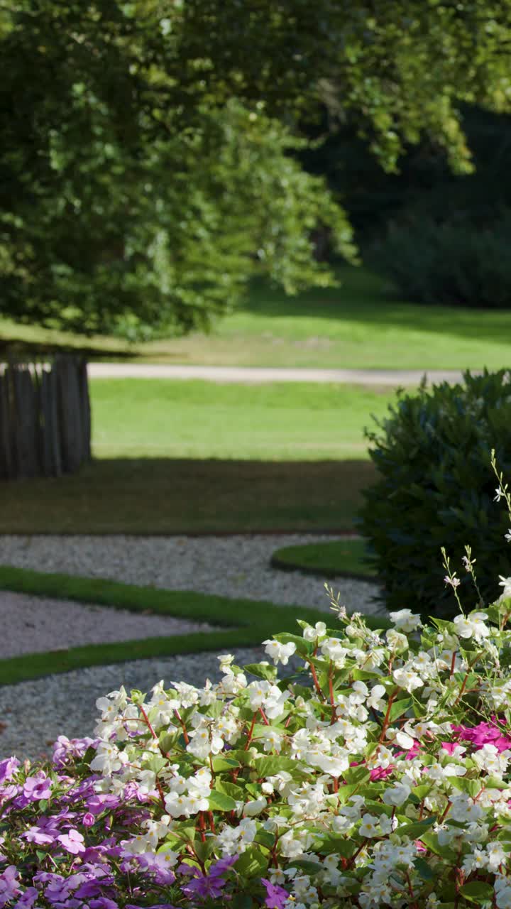Aiuole colorate e una vegetazione lussureggiante circondano un tranquillo sentiero da giardino sotto la luce del sole