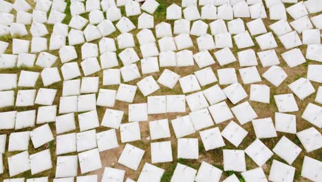 aerial view of numerous white pyramid-shaped concrete structures on grassy ground