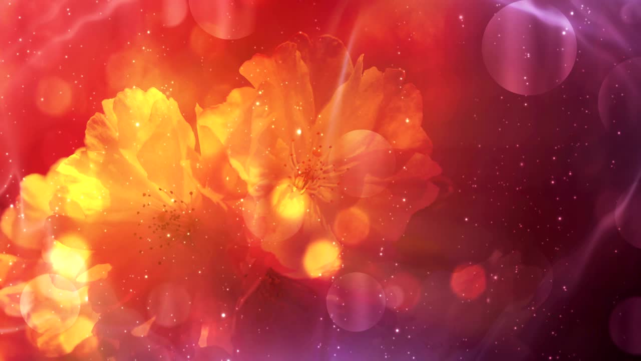 반이는 꽃의 배경 루프