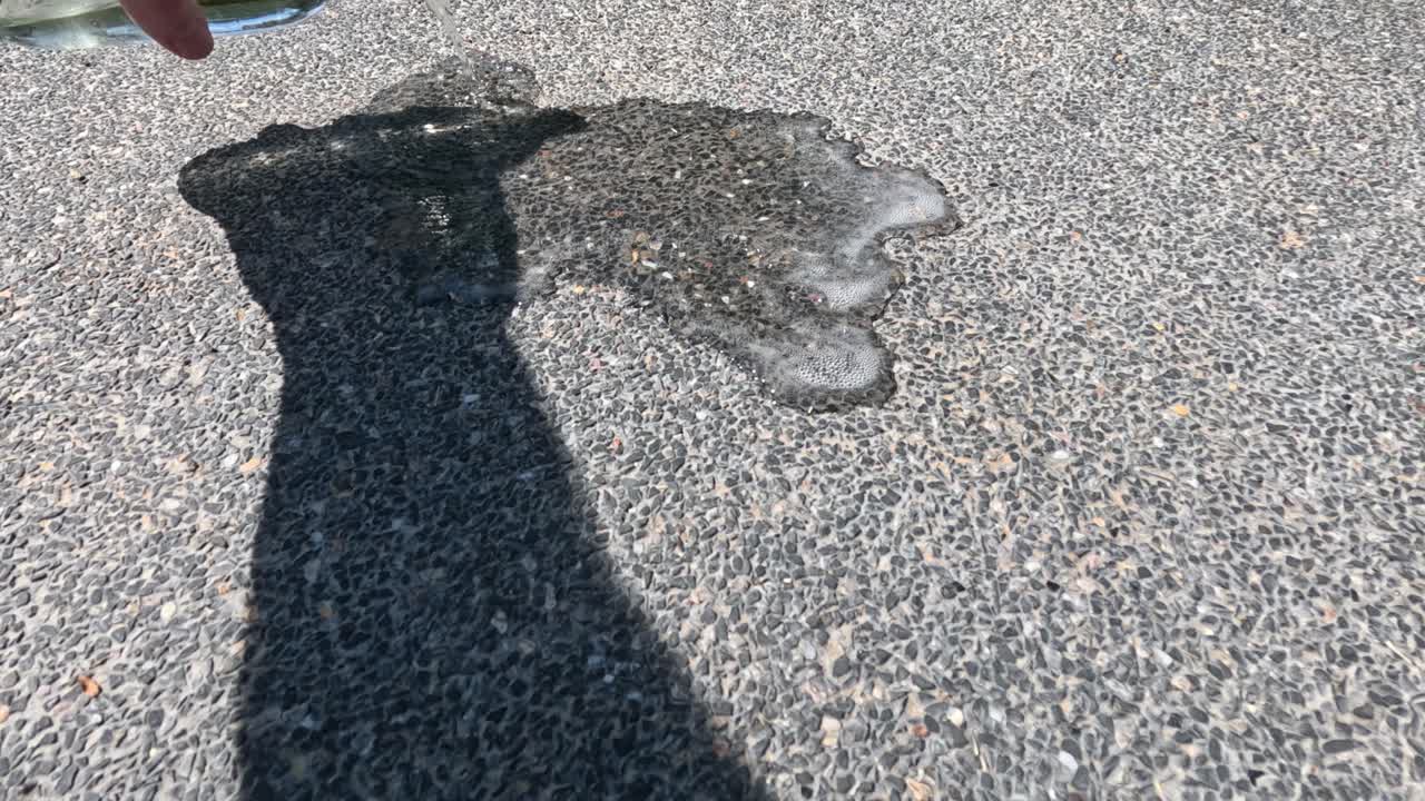 손 그림자가 개 모양으로 변합니다.