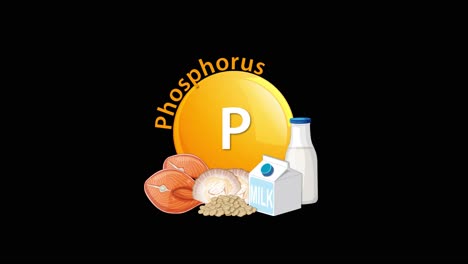 a phosphorus symbol animates in, joined by illustrated food sources like chicken, eggs, cheese, and milk, with smooth transitions and clear labeling