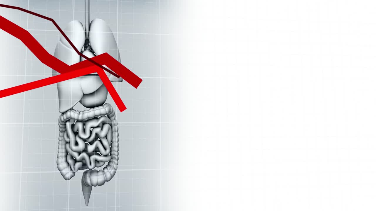 animación del gráfico sobre el modelo de órganos humanos