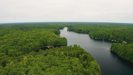 Vista-Aérea-De-Un-Río-Rodeado-De-árboles-Verdes-En-Un-Día-Nublado