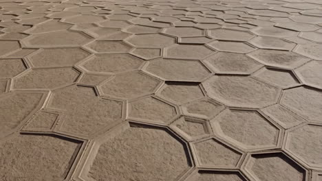hexagonal patterns in a salt flat