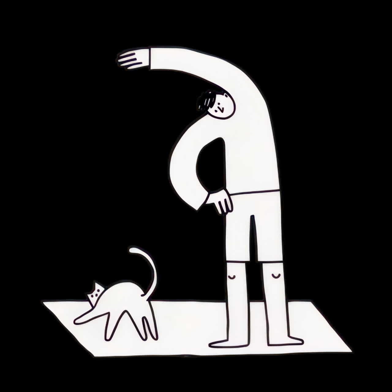 Minimalist exercise illustration with cat animation isolated asset, transparent 4K video, alpha