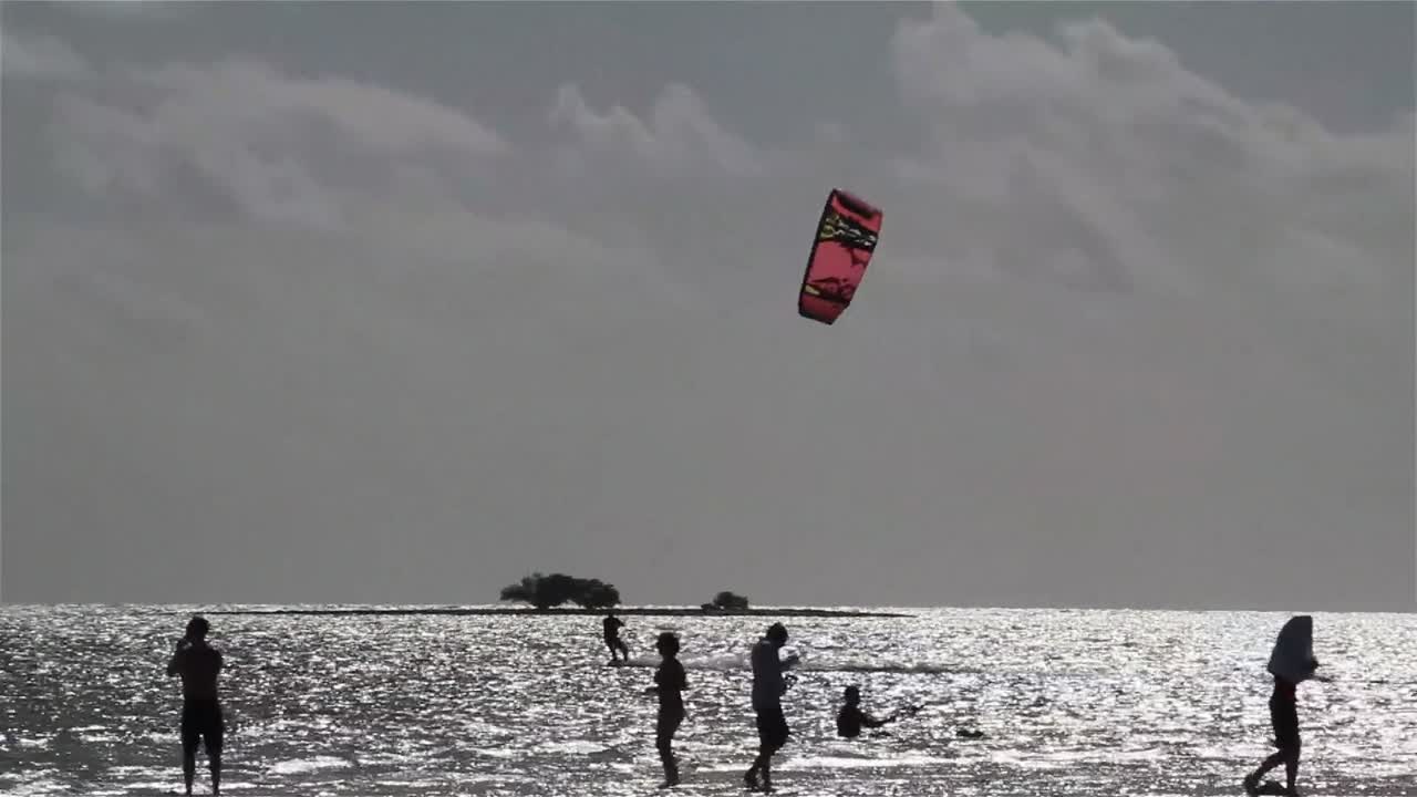 사람들은 화창한 해안을 따라 카이트 보딩에 참여합니다.