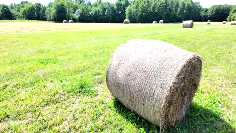 Großen-Runden-Ballen-Heu-Stroh-Oder-Weizen-Unter-Blauem-Himmel