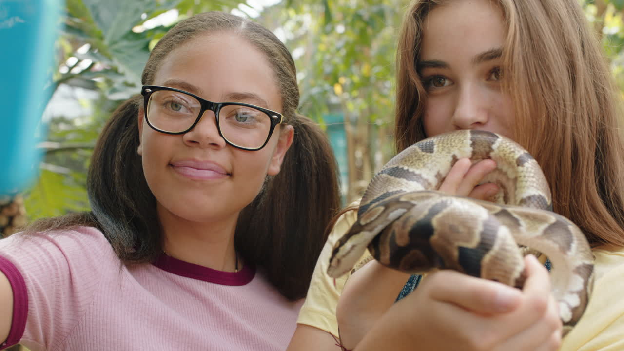 adolescentes sosteniendo amigos serpientes tomando fotos usando teléfonos inteligentes compartiendo excursiones al zoológico en las redes sociales divirtiéndose aprendiendo sobre reptiles en el santuario de vida silvestre 4k