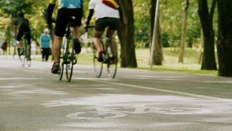 Crowd-of-urban-population-enjoying-early-morning-walk,-exercising-and-riding-bicycle-early-in-park-during-the-weekend-break-recreational-activities