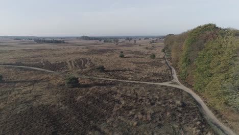 Drohnenaufnahme-Von-Mountainbikern,-Die-Durch-Die-Heidefelder-Fahren