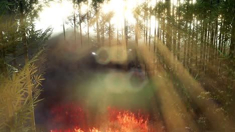 wind blowing on a flaming bamboo trees during a forest fire