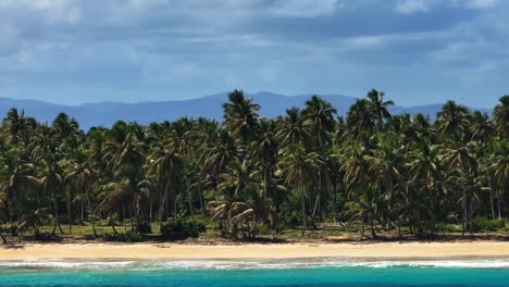 Palmen-Am-Leeren-Sandstrand-An-Einem-Bewölkten-Tag-In-Der-Bucht-Von-Samaná,-Luftaufnahme