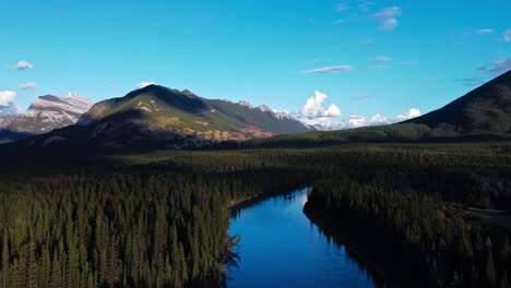 River-trough-forest-in-the-mountains