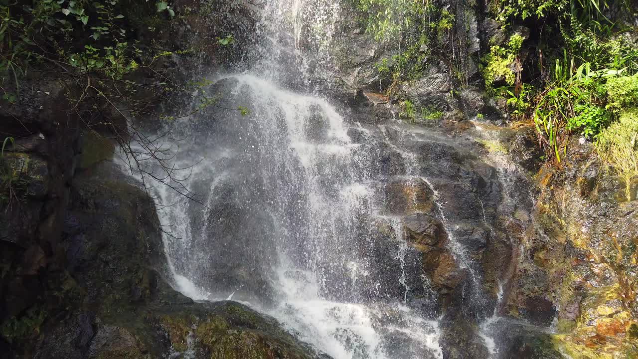 cascada con corriente rápida rodeada de exuberante naturaleza verde