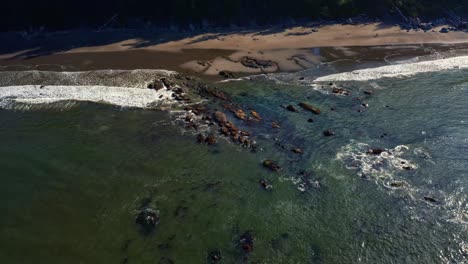 stunning tilting down aerial top bird's eye drone shot of small waves hitting rocks at the coast of third beach in forks, washington in the pacific northwest of the usa on a sunny summer morning