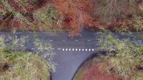 White-van-driving-across-a-crossroad-in-the-woods