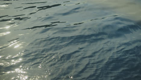 water surface reflections