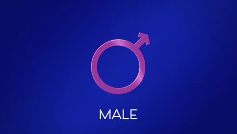 animation of text male, with male gender symbol on blue