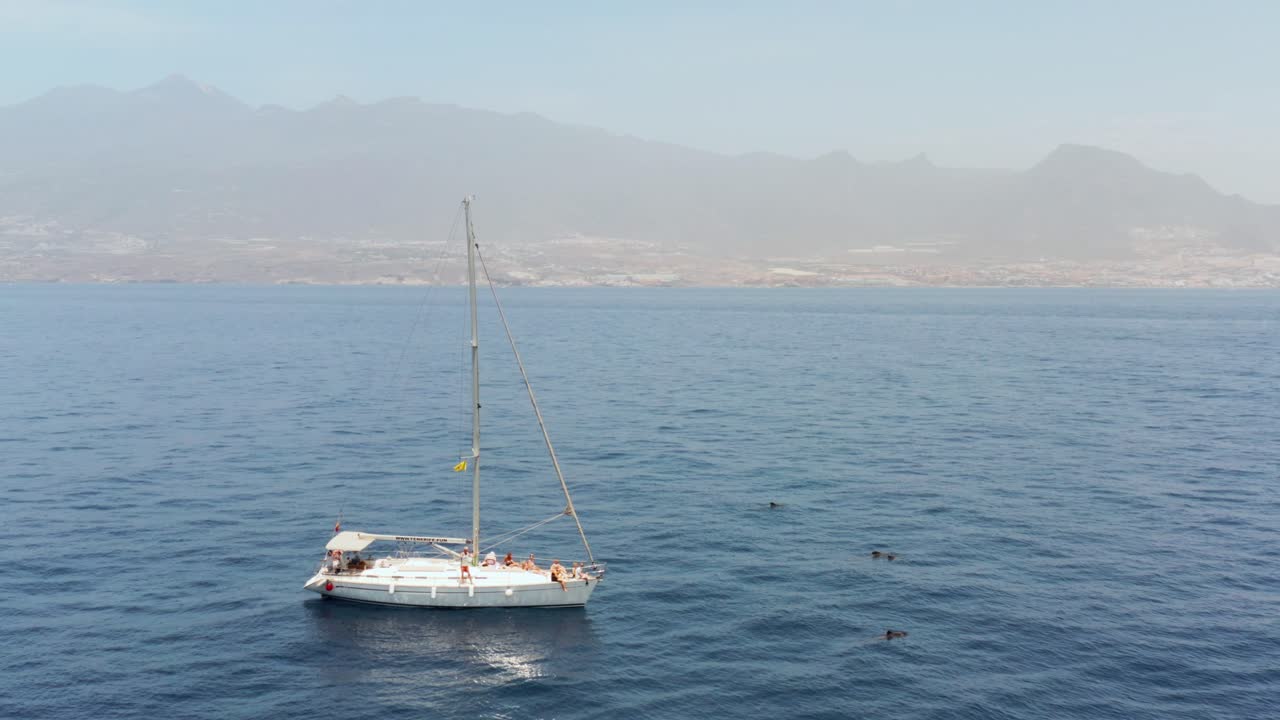yate de vela flotando junto a la manada de ballenas piloto con tenerife en segundo plano.