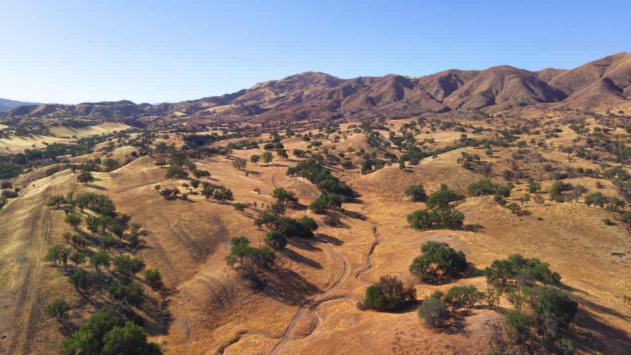 An aerial view showcases vast, dry golden hills dotted with green oak trees under a clear blue sky, evoking a sense of untouched nature