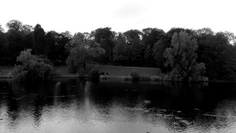 rain falling on reflective pond in mysterious park