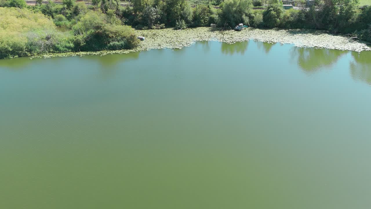 Serene lake with lush greenery, Ely, Pit River, calm and peaceful vibe