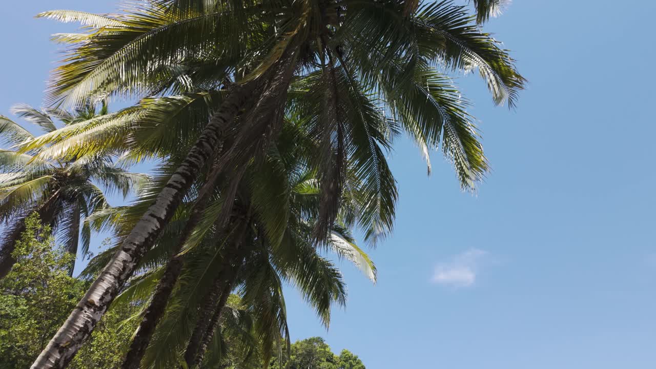 Lush vegetation meeting white sand beach and turquoise water in Coiba Island, Panama, with a motorboat resting on the shore