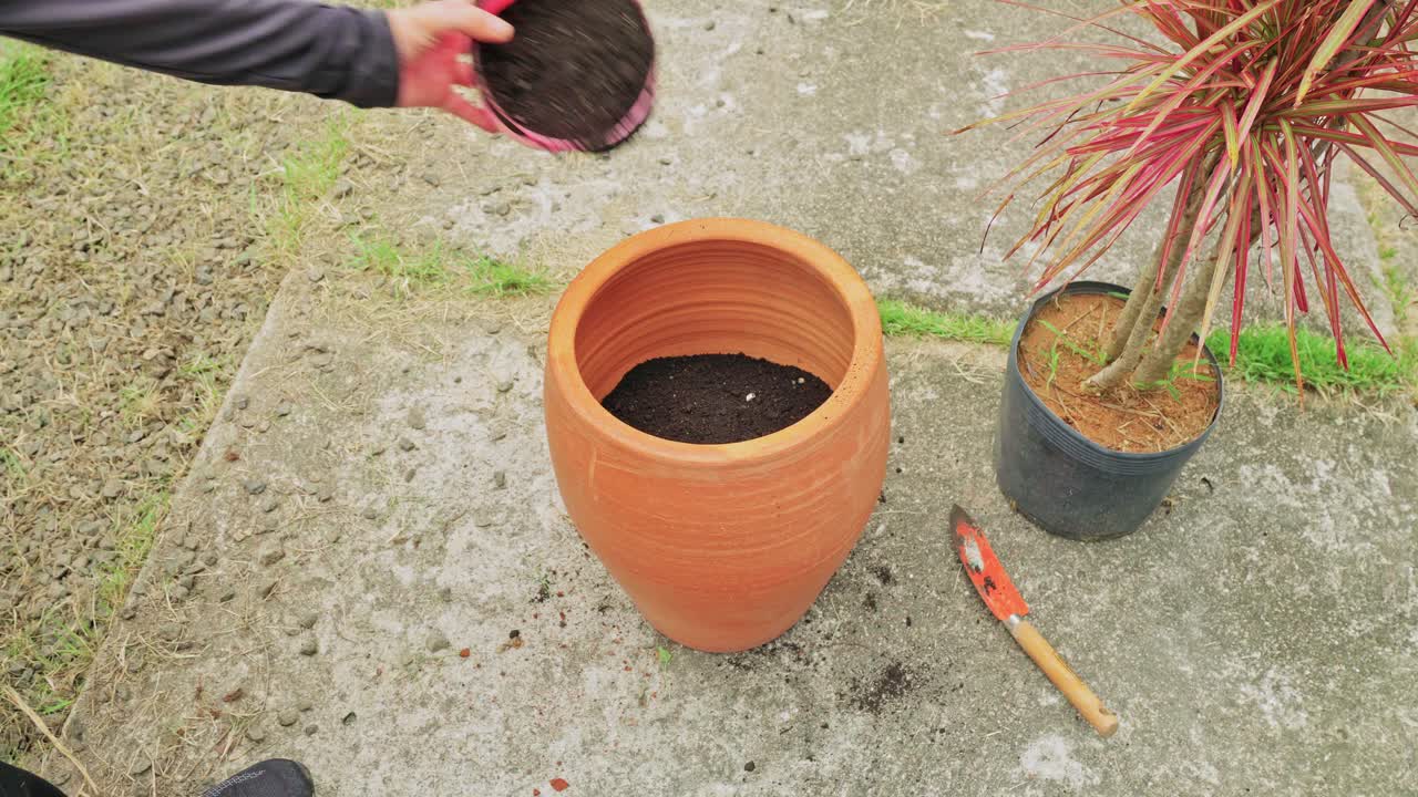 Ripresa dall'alto di una persona che versa terriccio da un piccolo secchio rosa in una grande fioriera rotonda di terracotta in un cortile, preparandosi a rinvasare una pianta.