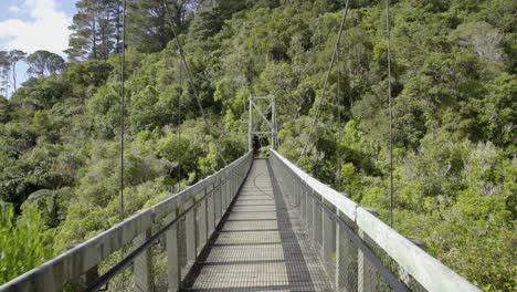 walking across the swing bridge in zealandia, wellington, nz