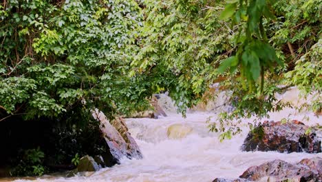 Bajos-Niveles-De-Agua-En-La-Selva-Tropical-Brasileña-En-Una-Sequía-Causada-Por-El-Cambio-Climático