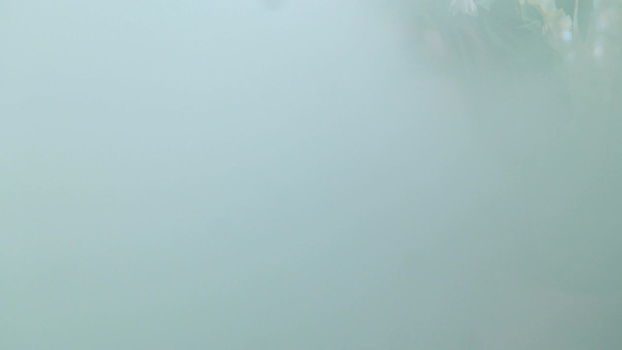 hermosa hada en el desierto del bosque da la bienvenida a la primavera.