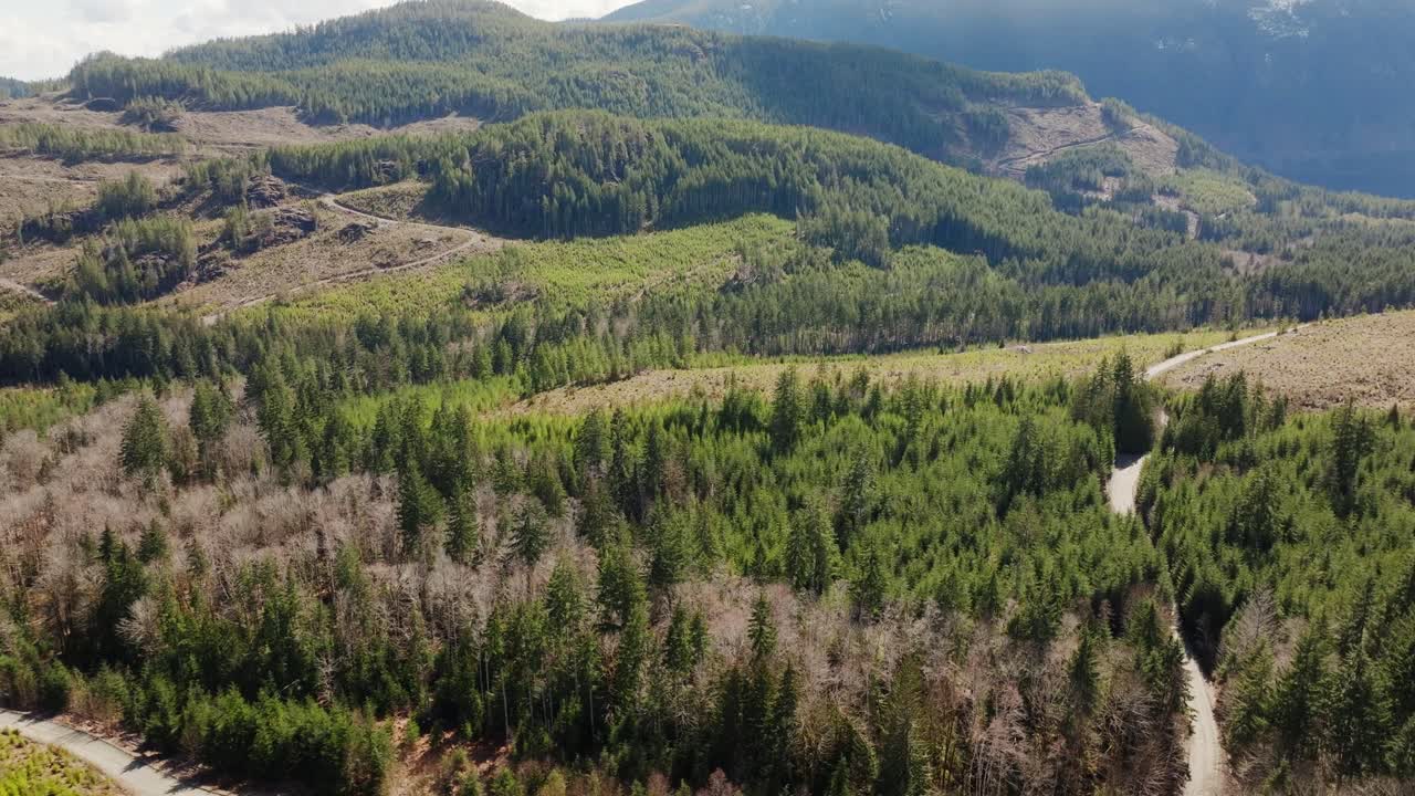 вырубки в лесах тихоокеанского северо-запада в британской колумбии, канада