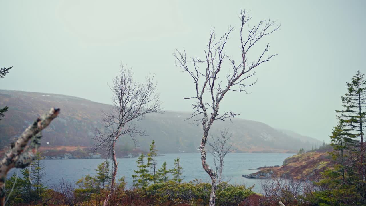 Peaceful Lake And Misty Mountain In Reinsjoen, Norway. Wide Shot