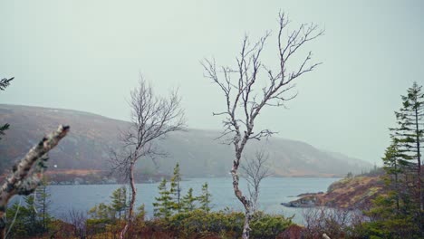 peaceful lake and misty mountain in reinsjoen, norway. wide shot