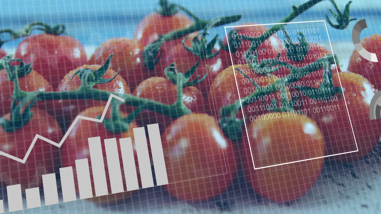Tomatoes with data processing animation showing graphs and binary code overlay