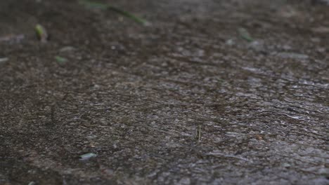 dolly zoom effect of falling rain hits the gray tile floor. which gives a lonely mood in the rainy season, see the movement of rain water to the floor to spread the grain.