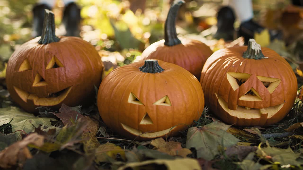 calabazas para halloween en el bosque de otoño