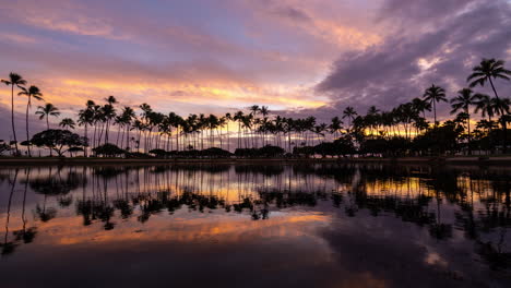 Ala-Moana-Beach-Park-Sonnenuntergangsreflexionen-Mit-Einer-Wand-Aus-Palmen-Im-Hintergrund