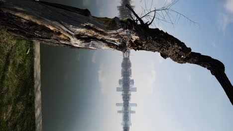 Vertikale-Aufnahme-Eines-Trockenen-Baumes-Mit-See-Und-Bürogebäuden-Im-Hintergrund