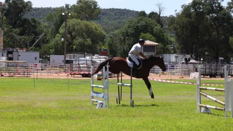 horse and rider jumping over obstacles