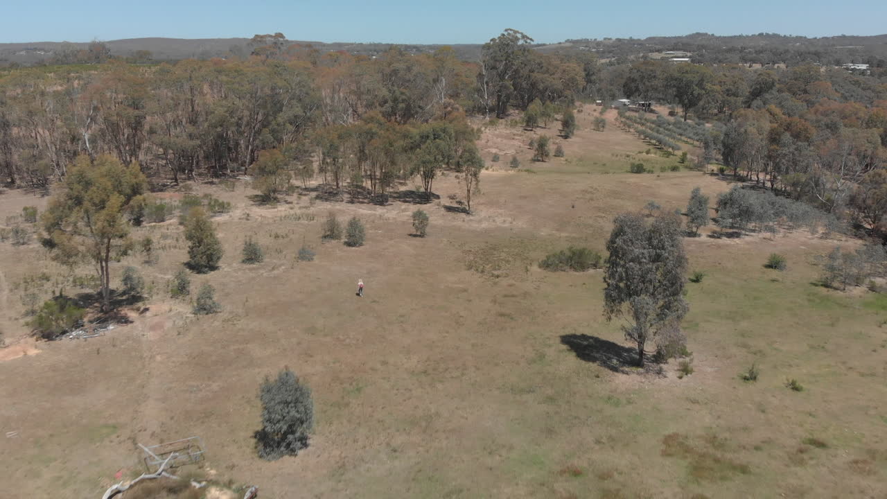 vista aérea de una chica en la distancia caminando sola cerca de un bosque