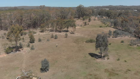 Aerial-view-of-girl-in-the-distance-walking-alone-near-a-forest