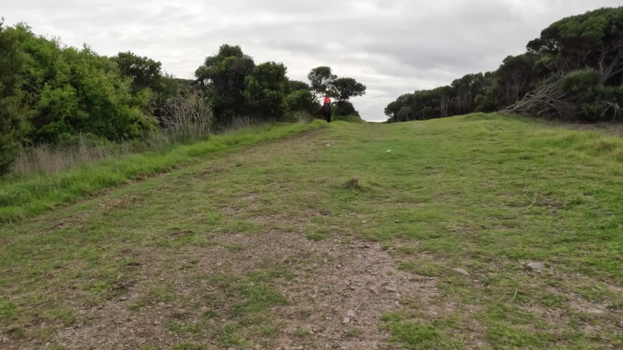 un jinete se acerca por un camino cubierto de hierba