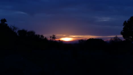 Un-Amanecer-Con-Plantas-De-Iluminación-Negra-En-Negro